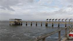 053-Jekyll Island-SC